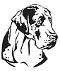Decorative portrait of Great Dane