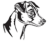Decorative portrait of Jack Russell Terrier