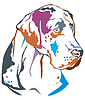 Colorful decorative portrait of Great Dane