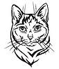 Decorative portrait of Mongrel Cat