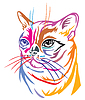 Colorful decorative portrait of Burmese Cat
