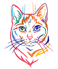 Colorido retrato decorativo de gato mestizo | Ilustración vectorial