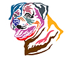 Colorful decorative portrait of Dog Rottweiler