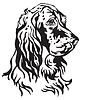 Decorative portrait of Dog English Setter