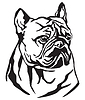 Decorative portrait of Dog French Bulldog