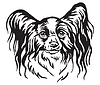 Decorative portrait of Papillon Dog