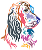 Colorful decorative portrait of Dog English Setter