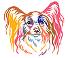 Colorful decorative portrait of Papillon Dog
