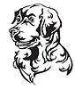 Decorative portrait of Dog Golden Retriever