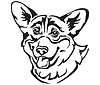 Decorative portrait of Dog Welsh Corgi