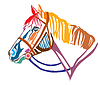 Colorful decorative portrait of horse in profile