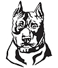 Decorative portrait of Dog American Staffordshire