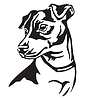 Vector clipart: Decorative portrait of Dog Jack Russell Terrier