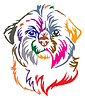 Colorful decorative portrait of Dog Shih Tzu