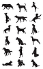 Photo 300 DPI: dogs breeds silhouettes