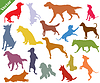 set of colorful dogs silhouettes