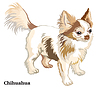 Colored decorative standing portrait of dog