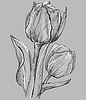 Vector clipart: grey flower 10