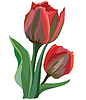 Vector clipart: flower 10