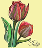 Vector clipart: colorful flower 10