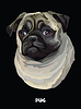 Vector clipart: Pug colorful portrait