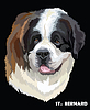 Vector clipart: St. Bernard colorful portrait