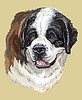 Vector clipart: St. Bernard colorful hand drawing portrait