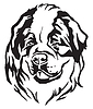 Vector clipart: Decorative portrait of Dog St. Bernard