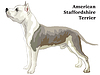 Colored decorative standing portrait of American