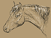 Horse portrait-11 on brown background