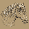 Horse portrait-12 on brown background