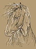 Horse portrait-13 on brown background