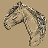 Horse portrait-15 on brown background