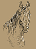 Horse portrait-19 on brown background