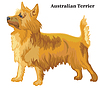 Colored decorative standing portrait of Australian