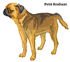 Colored decorative standing portrait of Petit
