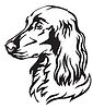 Decorative portrait of Dog Irish Setter