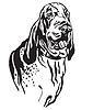 Decorative portrait of Dog Bracco Italiano