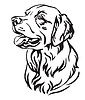 Decorative portrait of Dog Golden Retriever