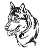 Decorative portrait of Dog Siberian Husky