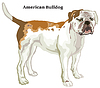 Colored decorative standing portrait of American