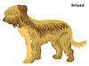 Colored decorative standing portrait of Briard