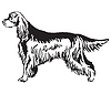 Decorative portrait of Dog Gordon Setter
