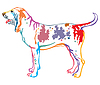 Colorful decorative portrait of Dog Bracco