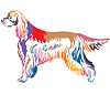 Colorful decorative portrait of Dog Gordon Setter