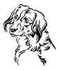 Векторный клипарт: Декоративный портрет Nederlandse Kooikerhondje Do
