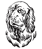 Decorative portrait of Sussex Spaniel Dog