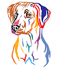Colorful decorative portrait of Rhodesian