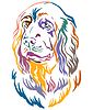 Vector clipart: Colorful decorative portrait of Sussex Spaniel Dog