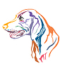 Vector clipart: Colorful decorative portrait of Weimaraner Dog